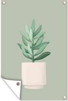 Muurdecoratie Kamerplant - Vetplant - Bloempot - Groen - 120x180 cm - Tuinposter - Tuindoek - Buitenposter
