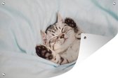 Muurdecoratie Slapende kitten op een kleed - 180x120 cm - Tuinposter - Tuindoek - Buitenposter