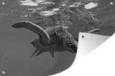 Muurdecoratie Schildpad duikt in water in zwart-wit - 180x120 cm - Tuinposter - Tuindoek - Buitenposter