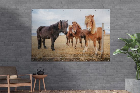Décoration murale poneys islandais derrière une clôture - 180x120 cm - Poster jardin - Toile jardin - Poster extérieur