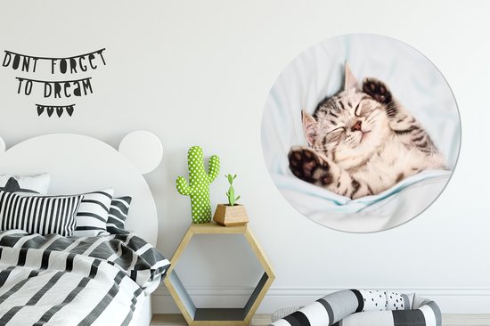 WallCircle - Cercle Mural - Cercle Mural - Chaton - Lit - Pieds - Filles - Enfants - Garçons - Enfant - Aluminium - Dibond - 140x140 cm - Intérieur et Extérieur