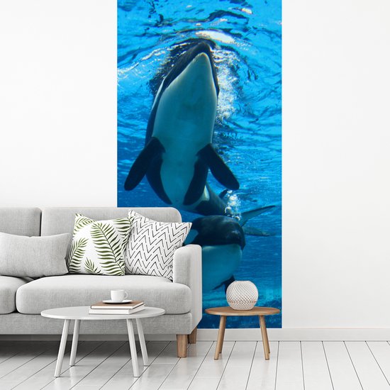 Papier peint photo Orcas - Deux Orcas sous l' eau largeur 120 cm x hauteur 240 cm - impression photo sur papier peint en vinyle (disponible en 7 tailles) - chambre / chambre / bureau de vie