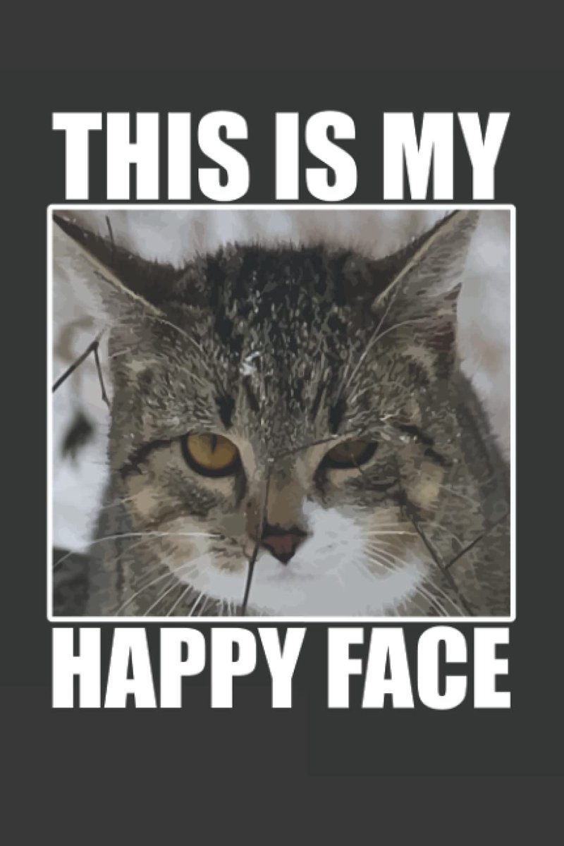 Notebook This Is My Happy Face: Blank Lined Notebook Journal, College Ruled 6"x9" 120 Pages With Matte Cover. Displays - ShopVlot