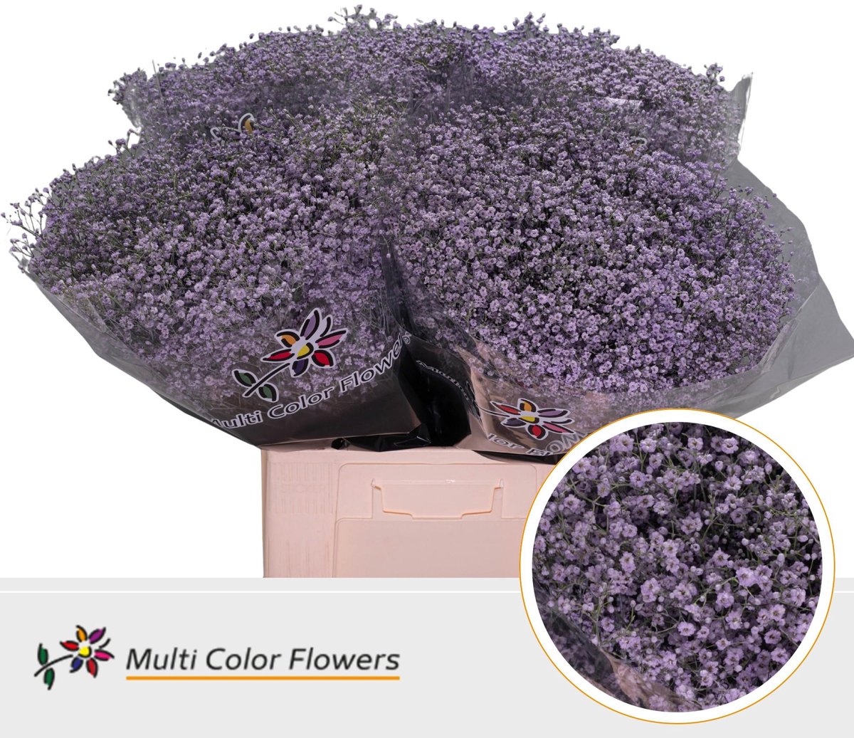 25x Gipskruid m.stars milka 70cm