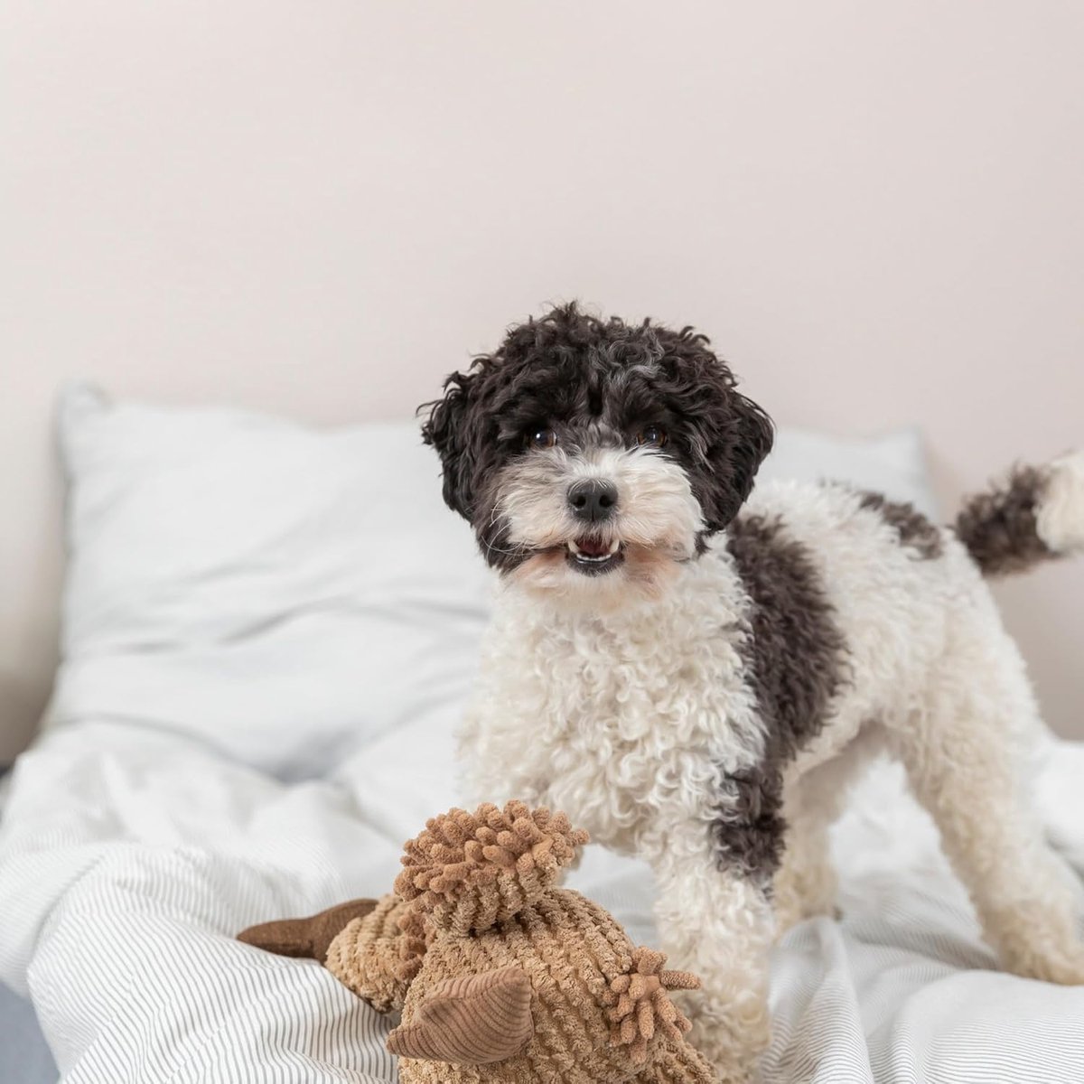 Warmara Hondenknuffel - Knuffel Hond - Pluche Hond - Bruin - 22cm x 13cm x 28cm
