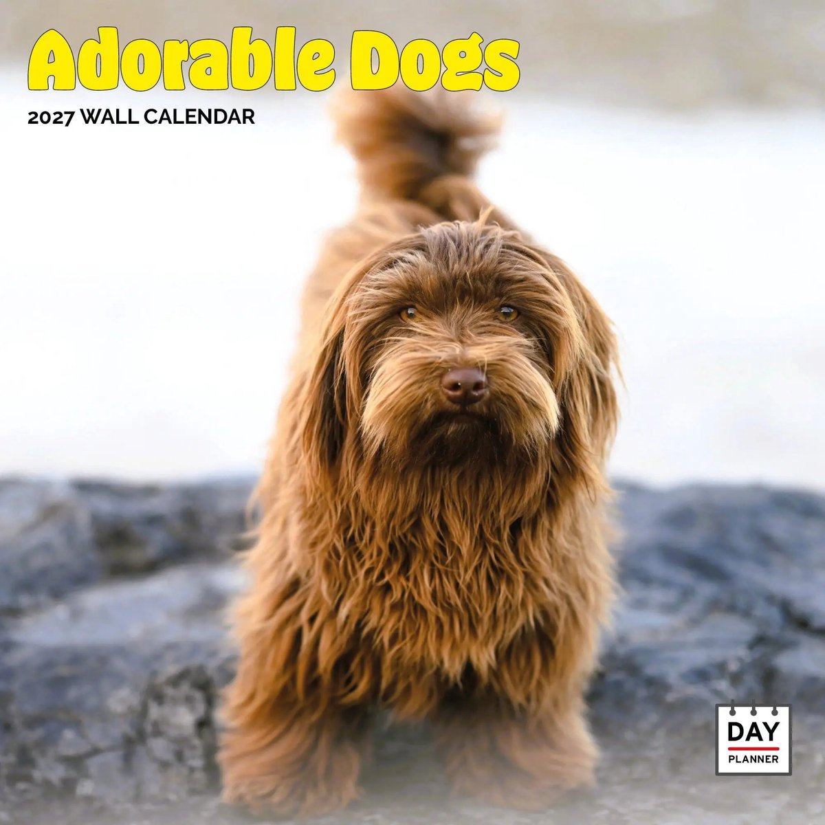 Adorable Dogs Kalender 2027