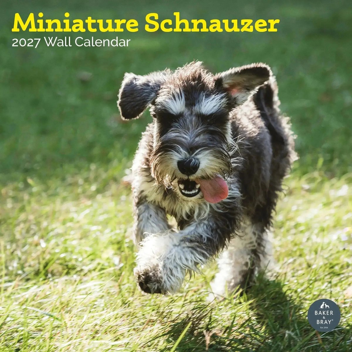 Miniatuur Schnauzer Kalender 2027
