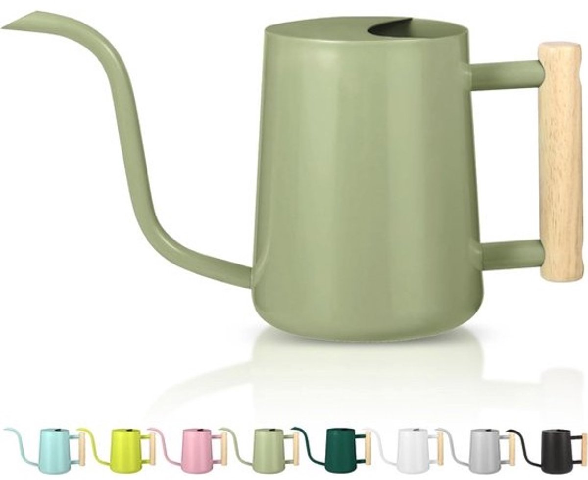 Kleine roestvrijstalen gieter voor kamerplanten - 35 oz moderne decoratieve gieter met lange uitloop