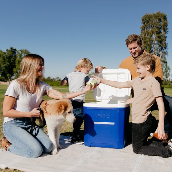 Passieve Koelbox - Geïsoleerde Box - Buitenactiviteiten - Trekstang & Wielen - 56 Liter - Blauw — afbeelding 3