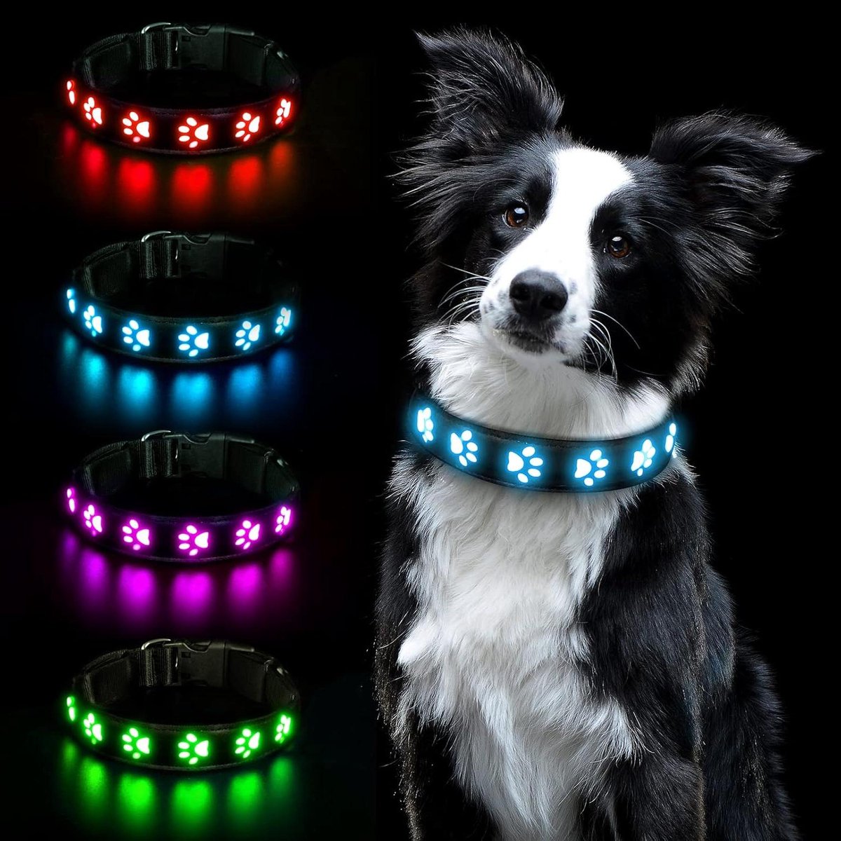 Lichtgevende Halsband - Veiligheidskraag - Nachtelijke Wandelingen - Oplaadbaar Via USB - Maat S - Blauw