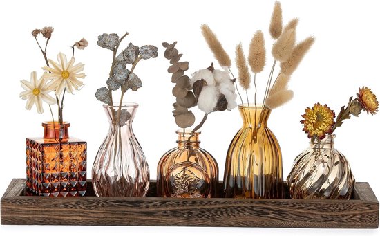 Herfst Decoratie met 5 Stuks Glazen Kleine Vazen voor Bloemen en Planten