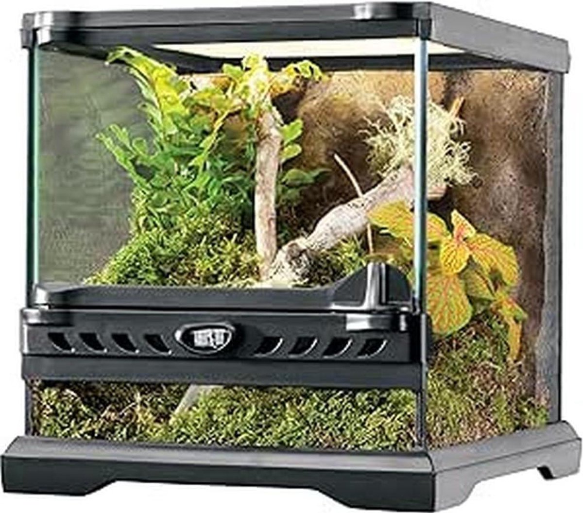 Glazen Terrarium - Reptielen Verblijf - Huisdier Huisvesting - Frontale Ventilatie - 20x20x20 cm - Transparant