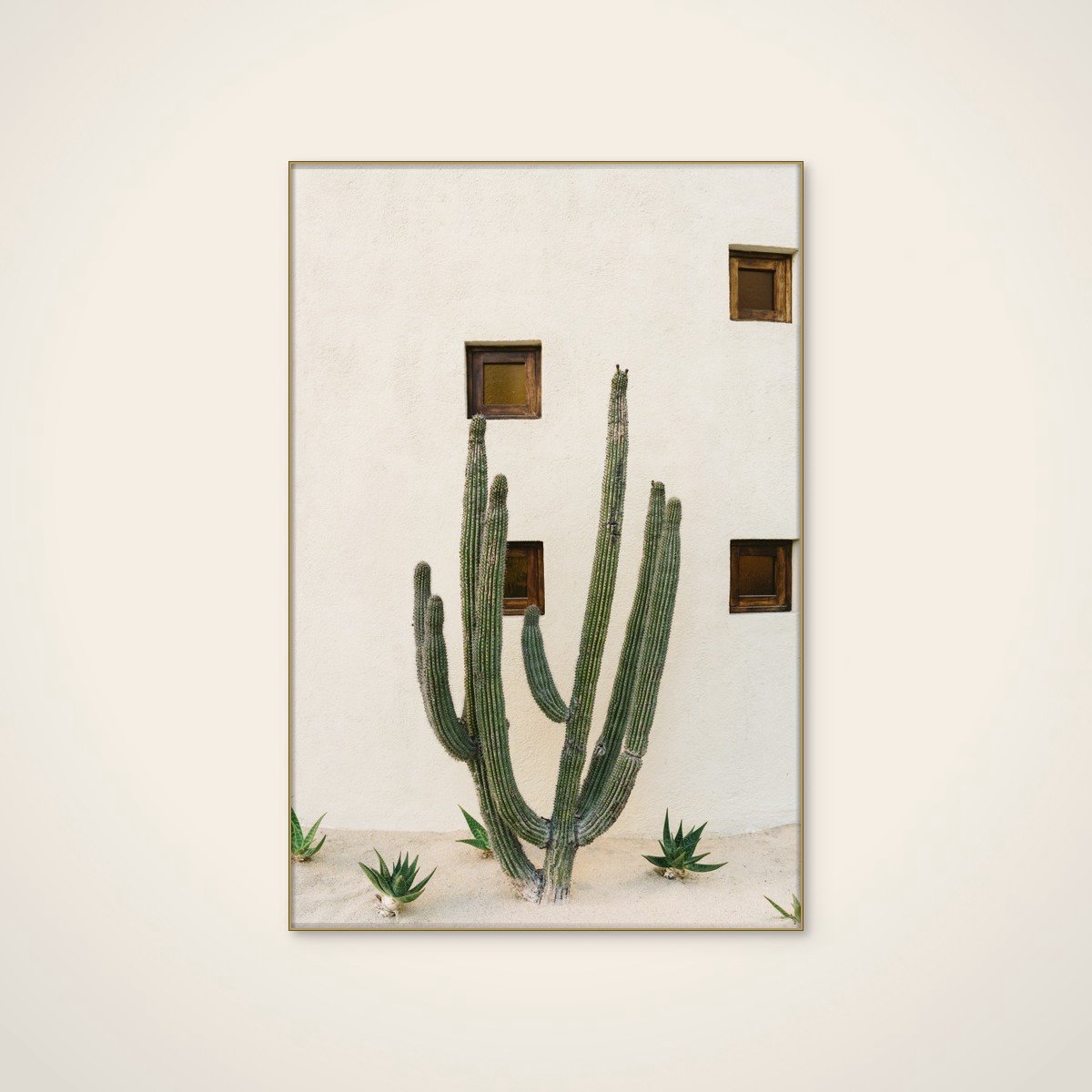 Akoestisch schilderij - 60 x 90 cm - Desert Cactus Garden van Bethany Young - Natuurlijke wanddecoratie - goud textielframe