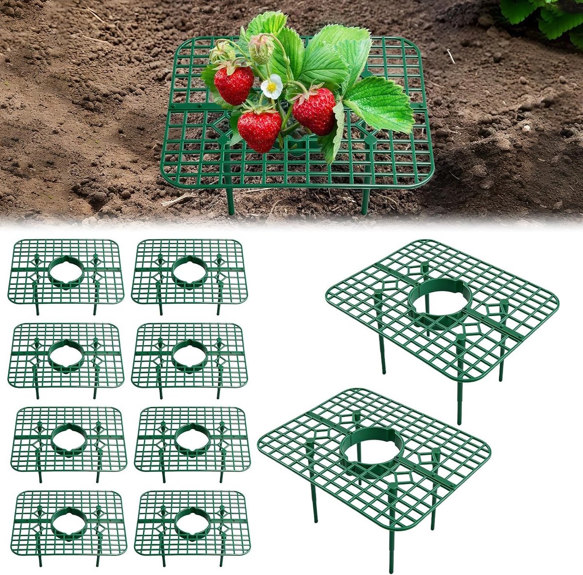 Set van 10 Aardbeien Schrapers - Vierkant, Ondersteuning voor Aardbeien, Bescherming tegen Slakken en Schimmel, Ideaal voor Tuinieren en Groenteteelt