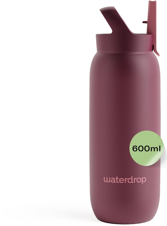 ALL-PURPOSE Thermo Bottle Burgundy 600ml + Straw Lid Marketplaces