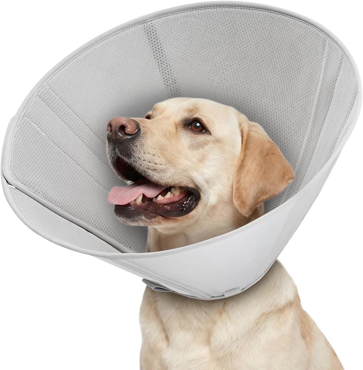 Halsband voor honden in grijs, maat 2XL - Duurzaam, Comfortabel en Verstelbaar