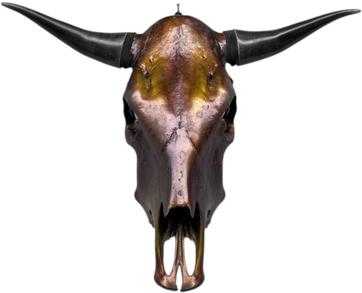 Stieren schedel- Metallic bruin