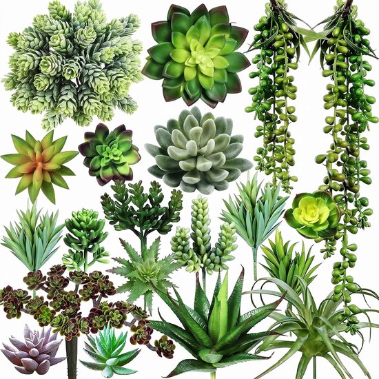 Kunstmatige vetplanten voor woondecoratie, mini vleesetende planten, groene kamerplanten voor thuis en kantoor, tafeldecoratie en tuinaccessoires
