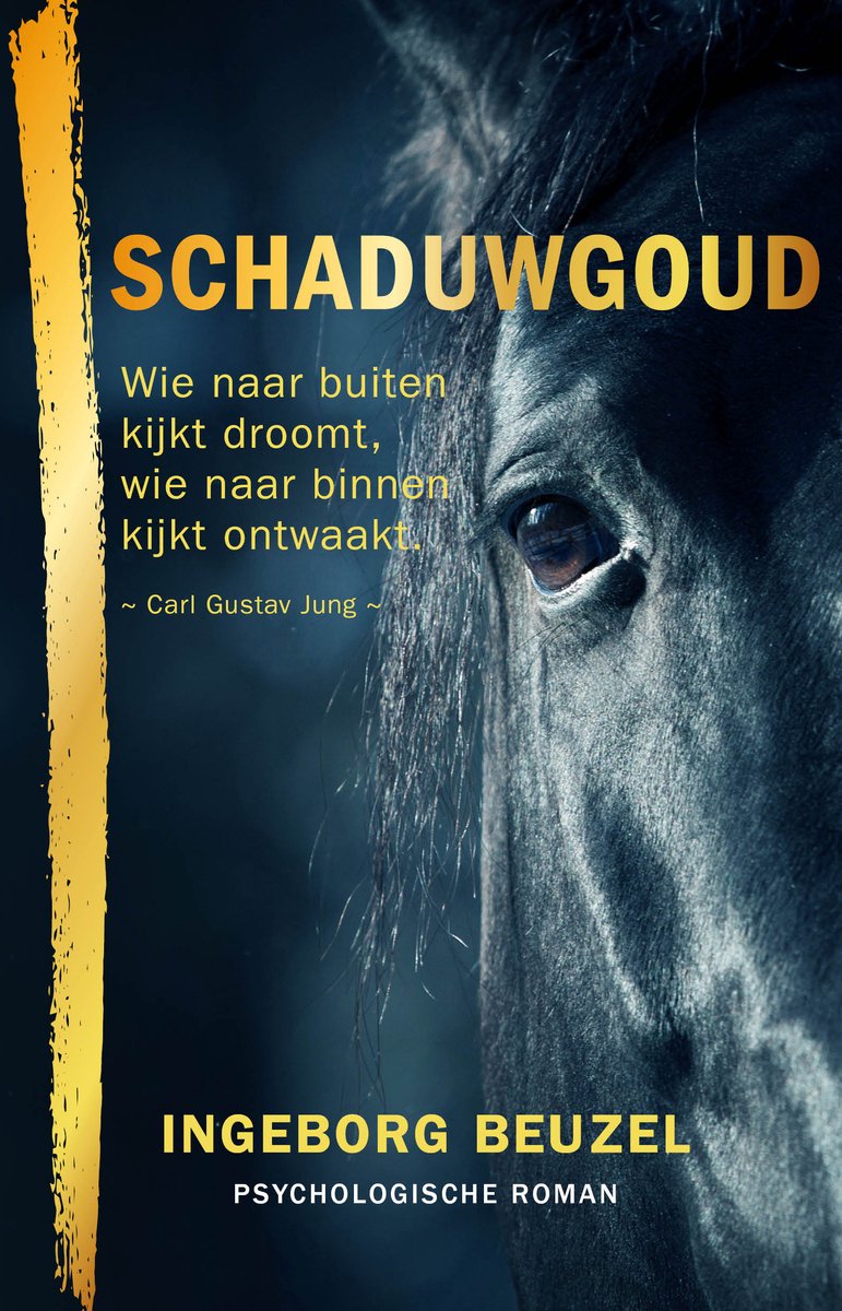 Omslag van Schaduwgoud