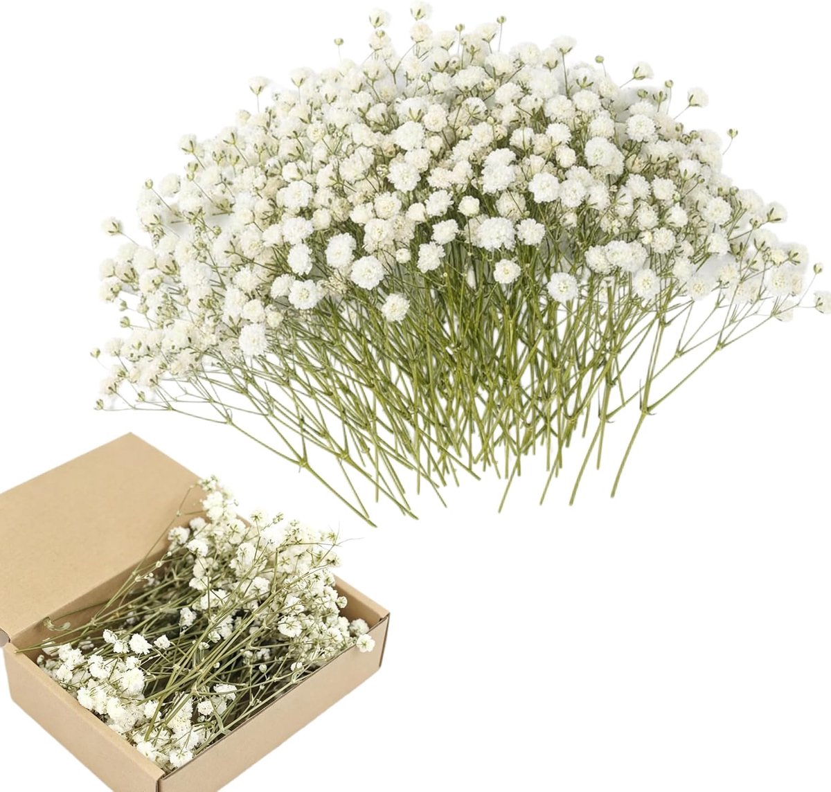SnelShoppen - 100 Stuks Gypsophila Drogen Bloemen voor Creativiteit - Mini Droogbloemen Decoratie voor DIY, Fotolijsten, Bruiloft en Feest