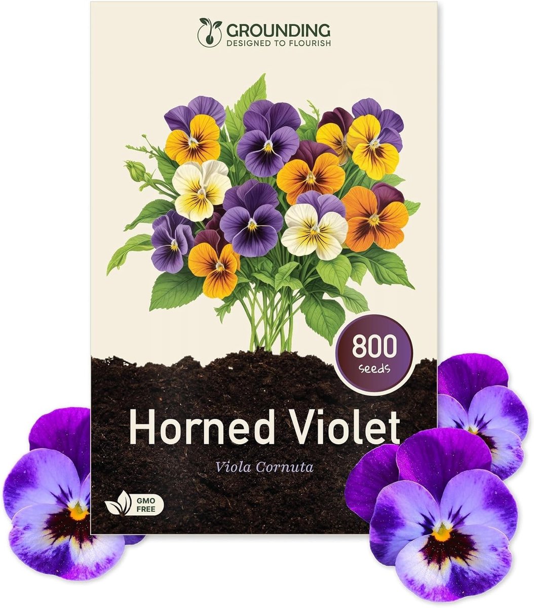 Viola Cornuta Zaden - Kleurmix Paars, Blauw, Geel & Wit - 500+ Zaden - Laag, Tidy Groeimodel - Voor Tuinen en Balkons