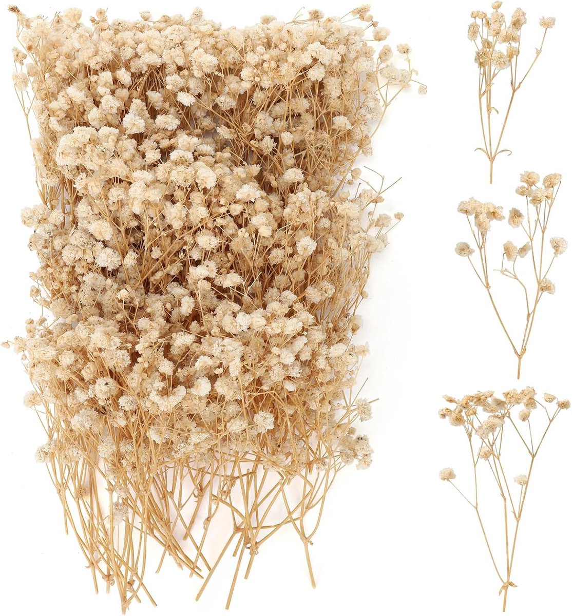 SnelShoppen - 100 stuks Gedroogde Mist, Natuurlijke Bloemknoppen Gypsophila, Witte Sluiergrasbloemen voor DIY Fotolijsten, Wenskaarten, Bladwijzers, F