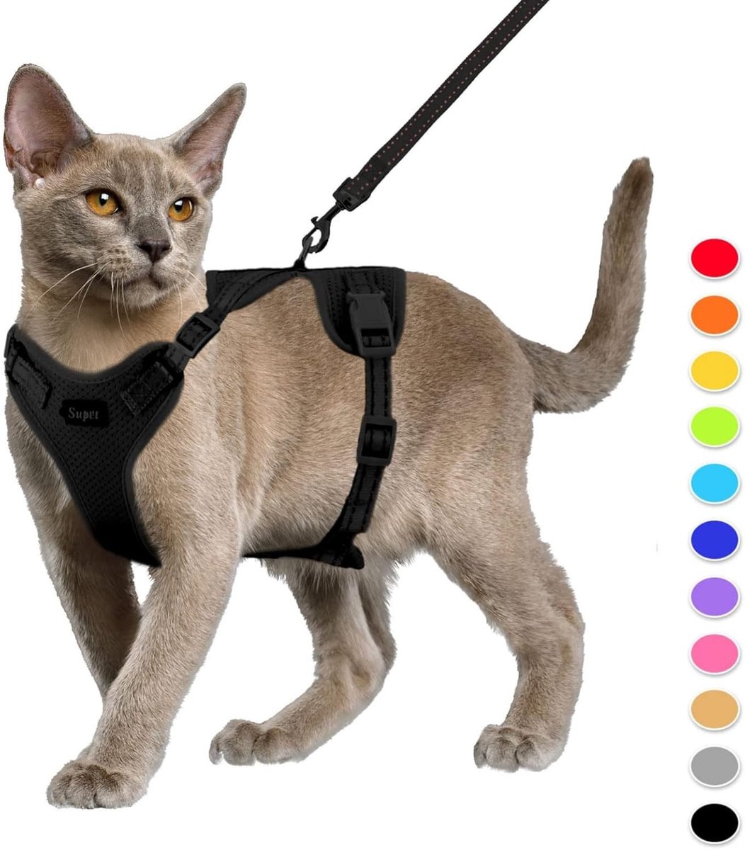 Kattenharnas - zwart - maat S - ademend mesh materiaal - verstelbaar en veilig voor katten