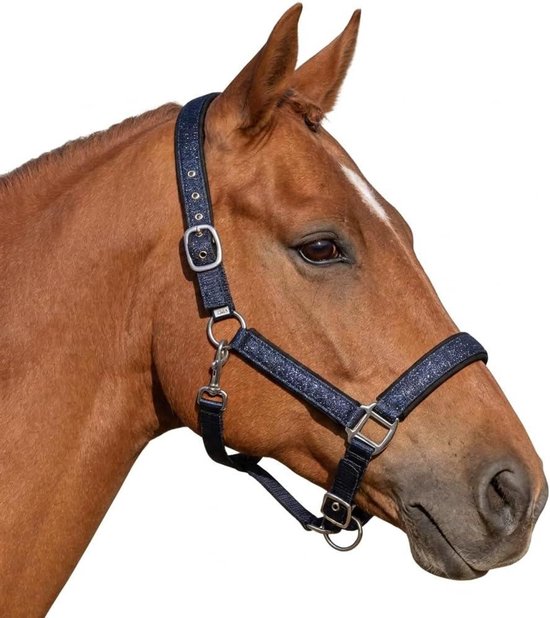 Paardenhalster Glitter - Paardentuig - Stijlvolle Staluitrusting - Zacht Gevoerd - Shetty Pony Cob - Marineblauw Paardenhalster Glitter - Paardentuig - Stijlvolle Staluitrusting - Zacht Gevoerd - Shetty Pony Cob - Marineblauw