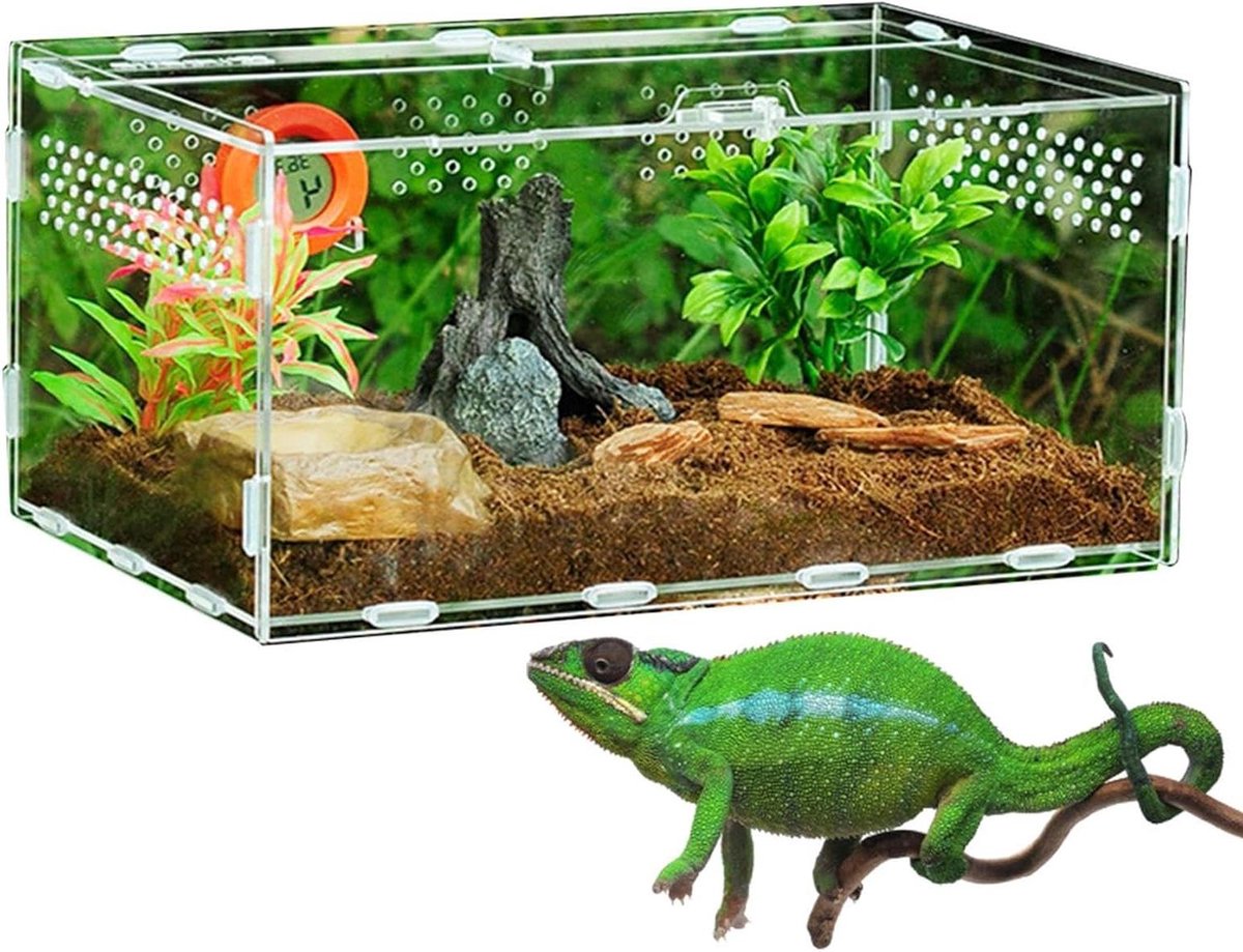 Reptielenkooi Acryl - Terrarium Kweekbox - Huisdieren Huisvesten - Geventileerd Panoramisch Uitzicht - 30 x 20 x 15 cm - Transparant