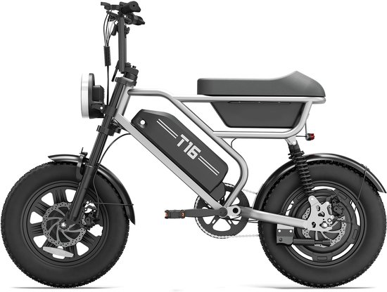 Elektrische Fatbike 16 x 3.0 Inch - 48V 15.6Ah - Tot 110 km Bereik - 250W Motor -Zilver — afbeelding 2
