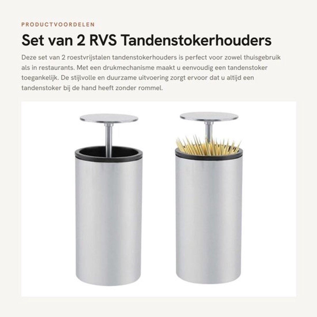 Tandenstokerhouder RVS - Tandenstoker Dispenser - Tandenstokers - Opbergdoos - Antislip - Voor Thuisgebruik