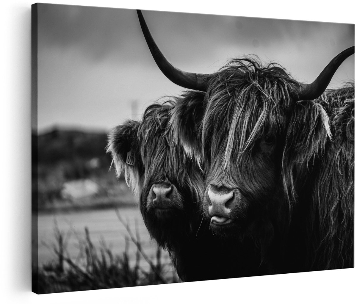 Artaza Canvas Schilderij Twee Schotse Hooglander Koeienkoppen - Zwart Wit - 150x100 cm - Groot - Foto Op Canvas - Wanddecoratie