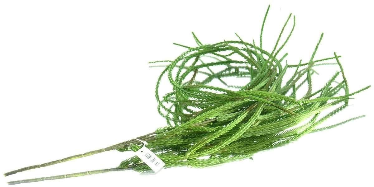 DPI Vetplantenrank Groen vertakt & naaldachtig 115 cm - Kunstplanten