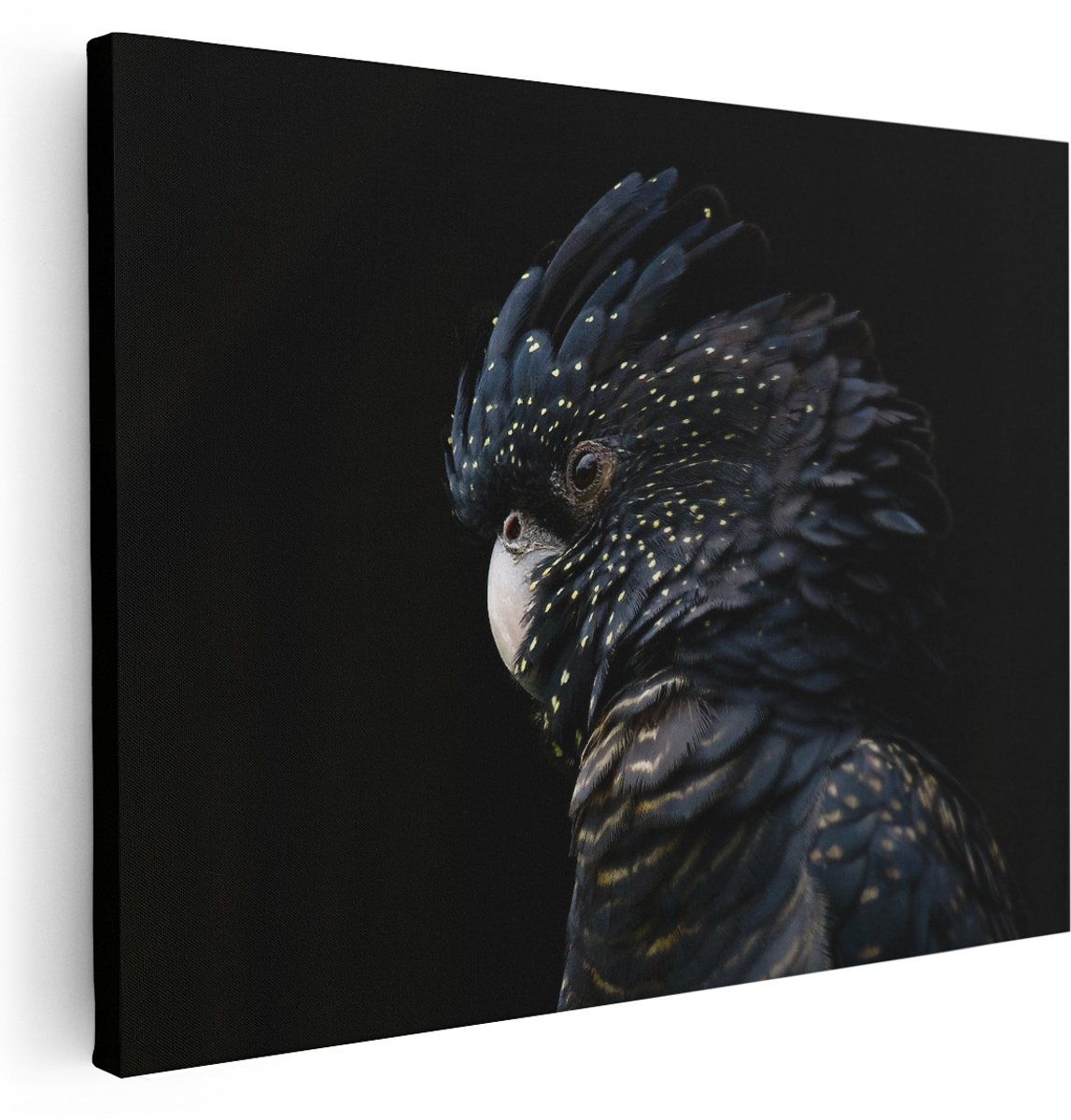 Artaza Canvas Schilderij Zwarte Kaketoe - 160x120 cm - Groot - Wanddecoratie Woonkamer - Schilderijen - Muurdecoratie