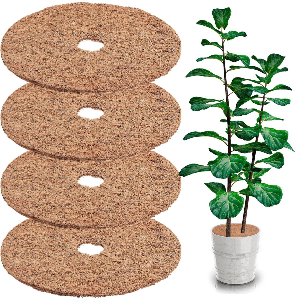 Kokosmatten - Vorst- en winterbescherming voor planten - 4 stuks - 40 cm