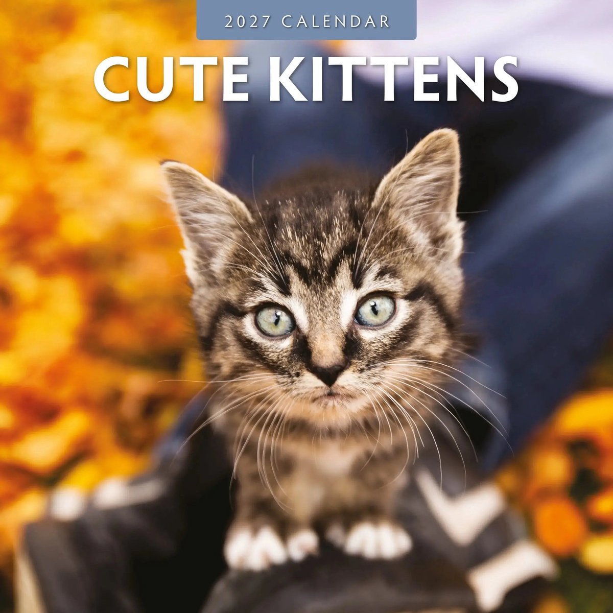 Cute Kittens Kalender 2027