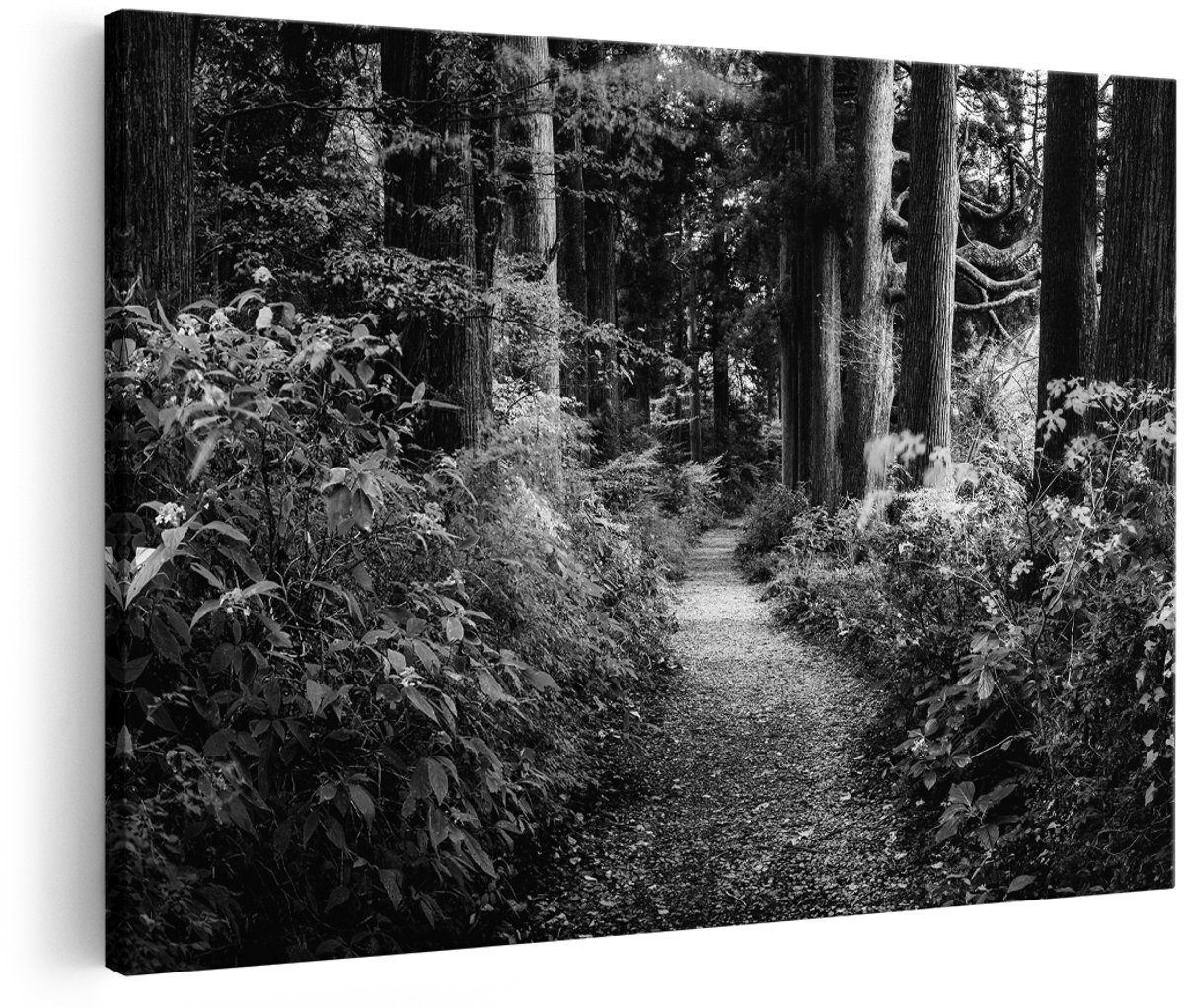 Artaza Canvas Schilderij Voetpad in het Bos - Zwart Wit - 180x120 cm - Groot - Foto Op Canvas - Wanddecoratie Woonkamer