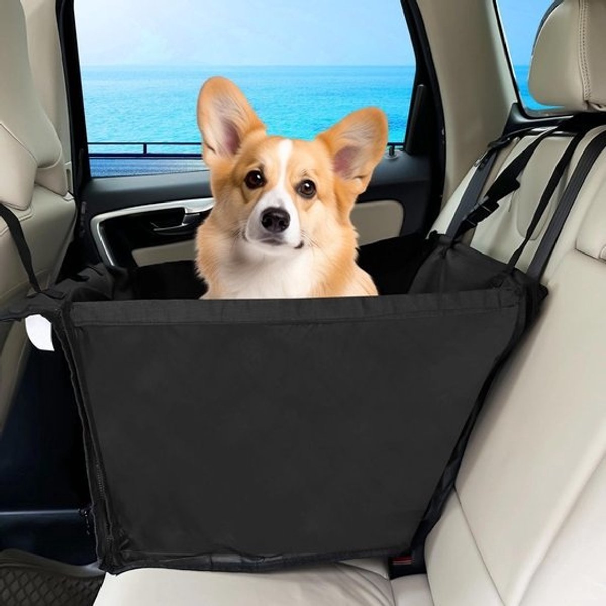 Dailygoods – Autostoel voor Honden, Opvouwbaar en Duurzaam, Zwart Dailygoods – Autostoel voor Honden, Opvouwbaar en Duurzaam, Zwart