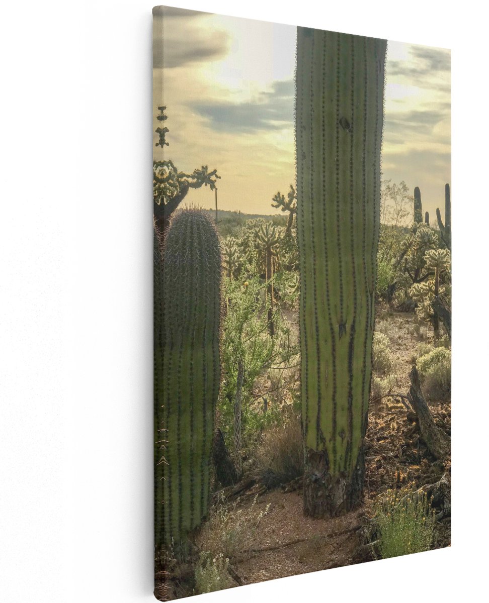 Artaza Canvas Schilderij Cactus Planten in het Wild - 120x180 cm - Groot - Wanddecoratie Woonkamer - Schilderijen - Muurdecoratie