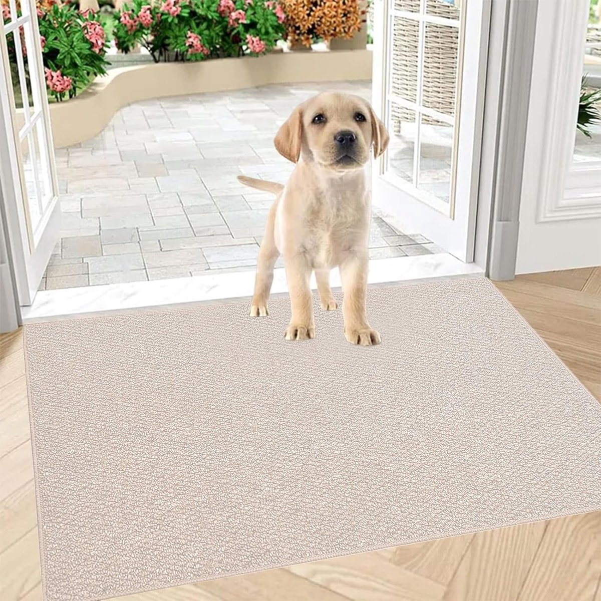 Famanu Deurmat voor binnen, 80 x 100 cm, antislip en wasbaar, schoonloopmat, waterdichte en absorberende deurmat voor de ingang, voordeur (beige