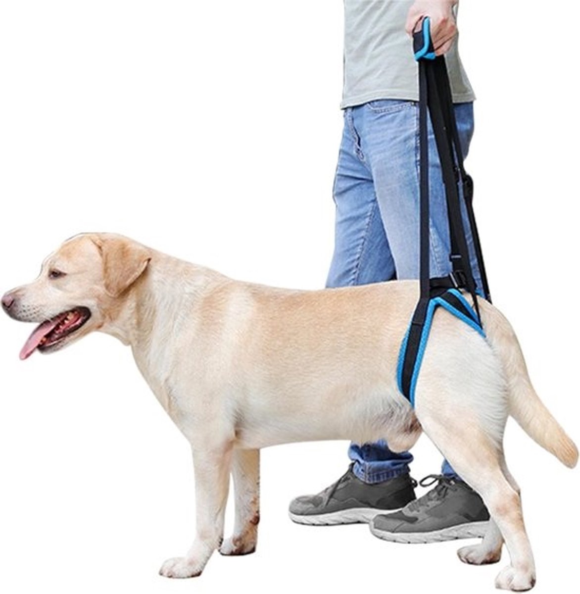 Honden Tilharnas - Honden Hulpmiddel - Oudere Honden Helpen - Verstelbare Draagband - Maat S