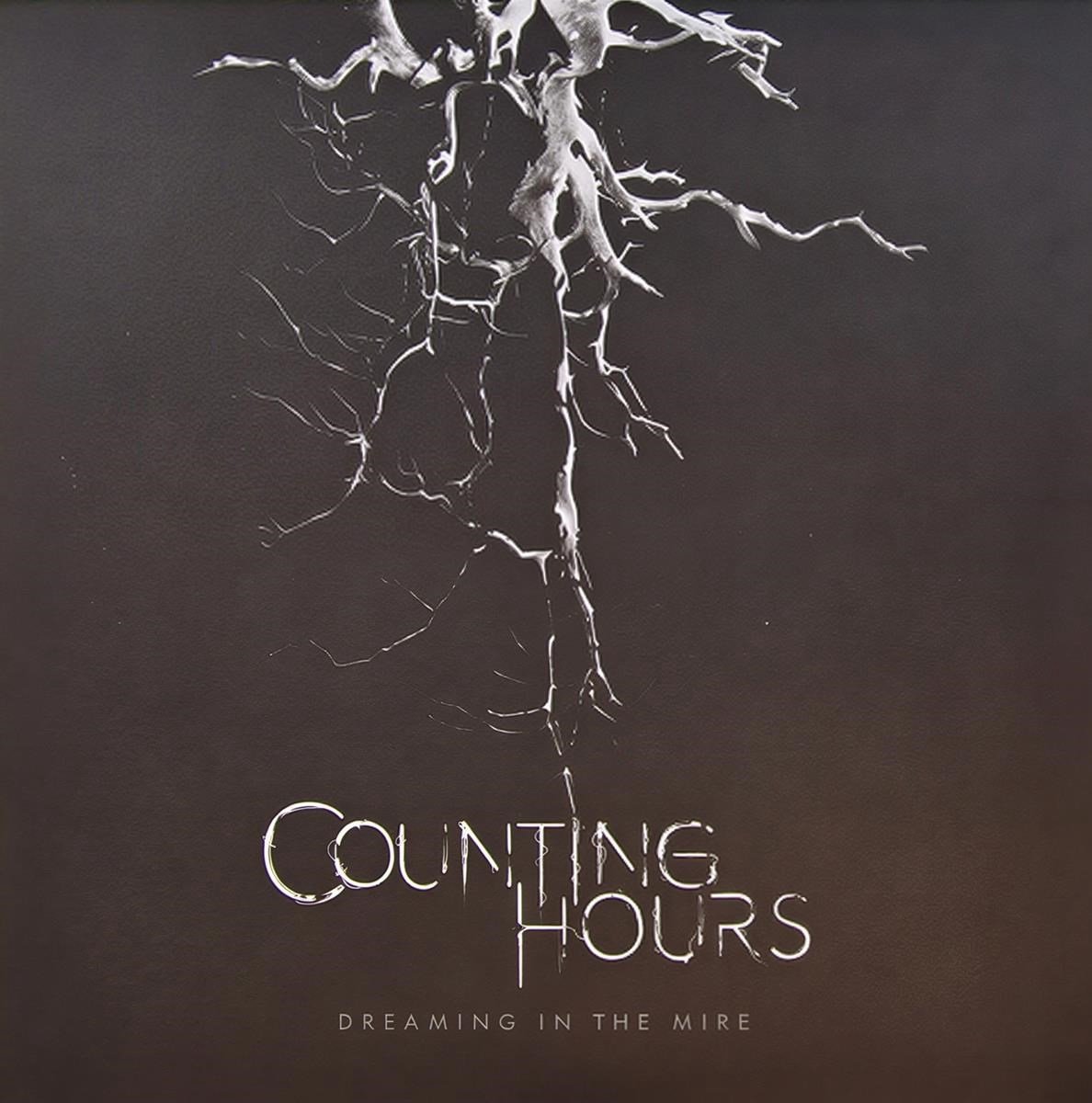 Counting Hours - Dreaming In The Mire (7" Single | CD)
