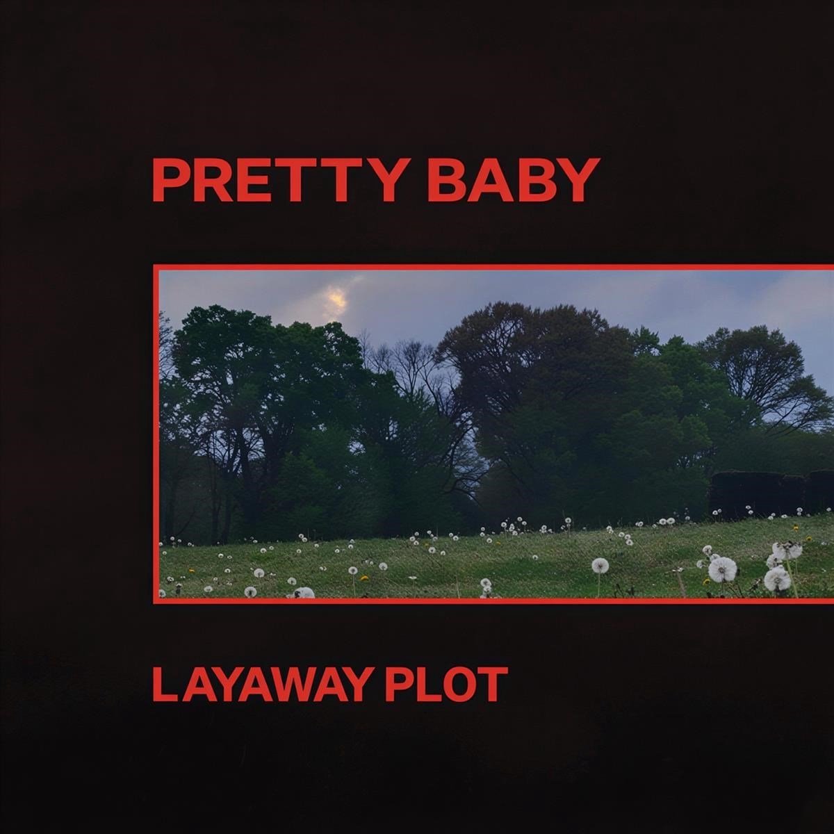 Pretty Baby - Layaway Plot (LP)