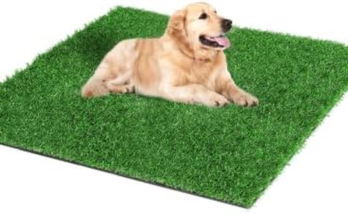 Hondentoilet Kunstgras - Puppy training pad - Balkon Zindelijkheid - Snelle Vocht Afvoer - 80x130 CM - Groen