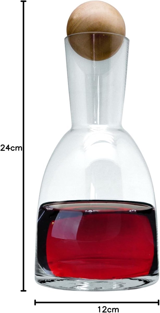 SnelShoppen - Glazen decanteerkaraf 1,2 liter met accessoires voor wijn serveren, elegant design voor feesten, dineren en dagelijks gebruik, perfect v