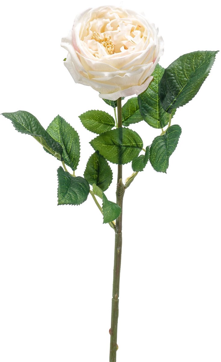 Emerald Kunstbloem Roos Jenny RT 60cm crème - Kunstplant voor binnen