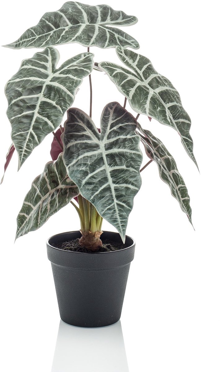 Emerald Kunstplant in pot Alocasia 40cm - Kunstplant voor binnen Groen