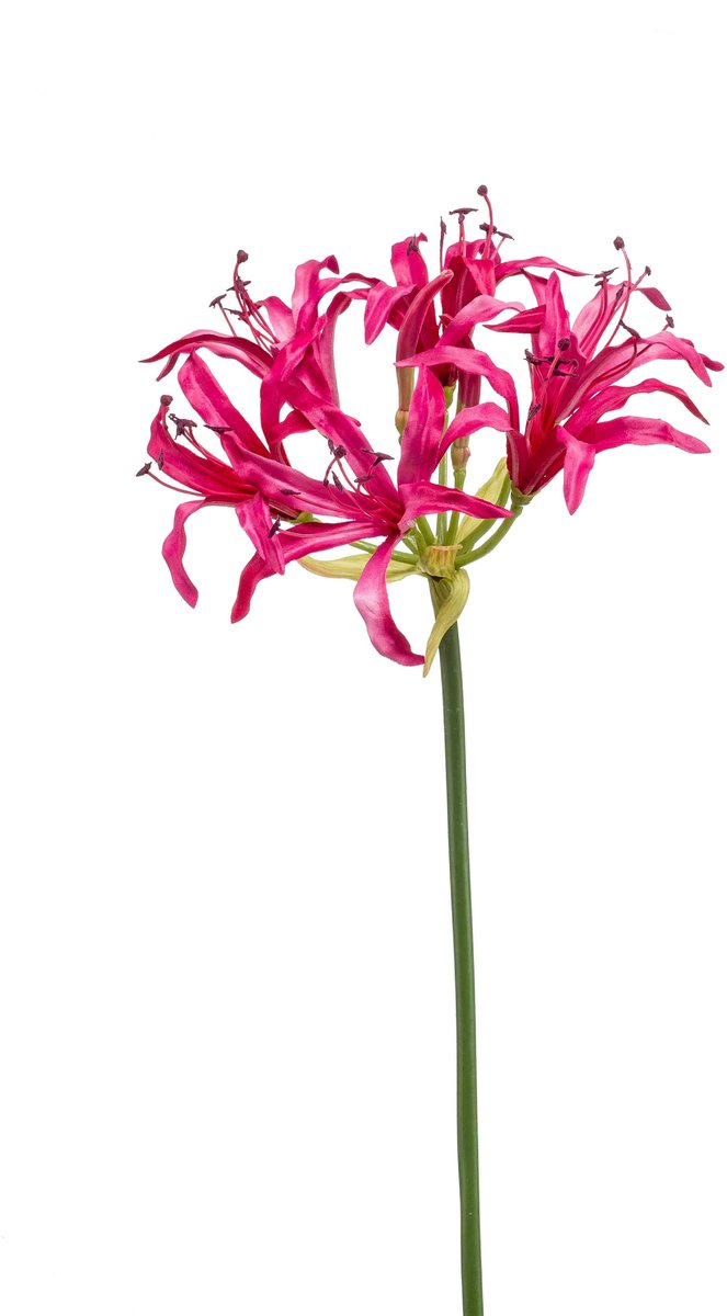 Emerald Kunstbloem Nerine 75cm fuchsia - Kunstplant voor binnen