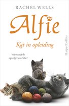 Alfie - Kat in opleiding