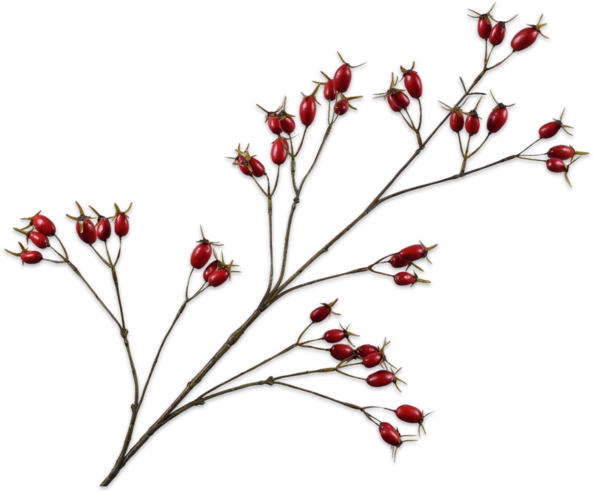 Silk-ka Kunstbloem-Zijden Bloem Rozenbottel Tak Rood 96 cm